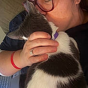 Nala is registered to the contest to win money with this photo: cat, black_and_white_cat, person, woman, glasses, kissing, cuddling, pet, affection, indoor, portrait, close_up, hand, ring, bracelet, laptop, keyboard, couch, furry, relaxed