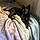 Blacky