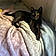 Blacky