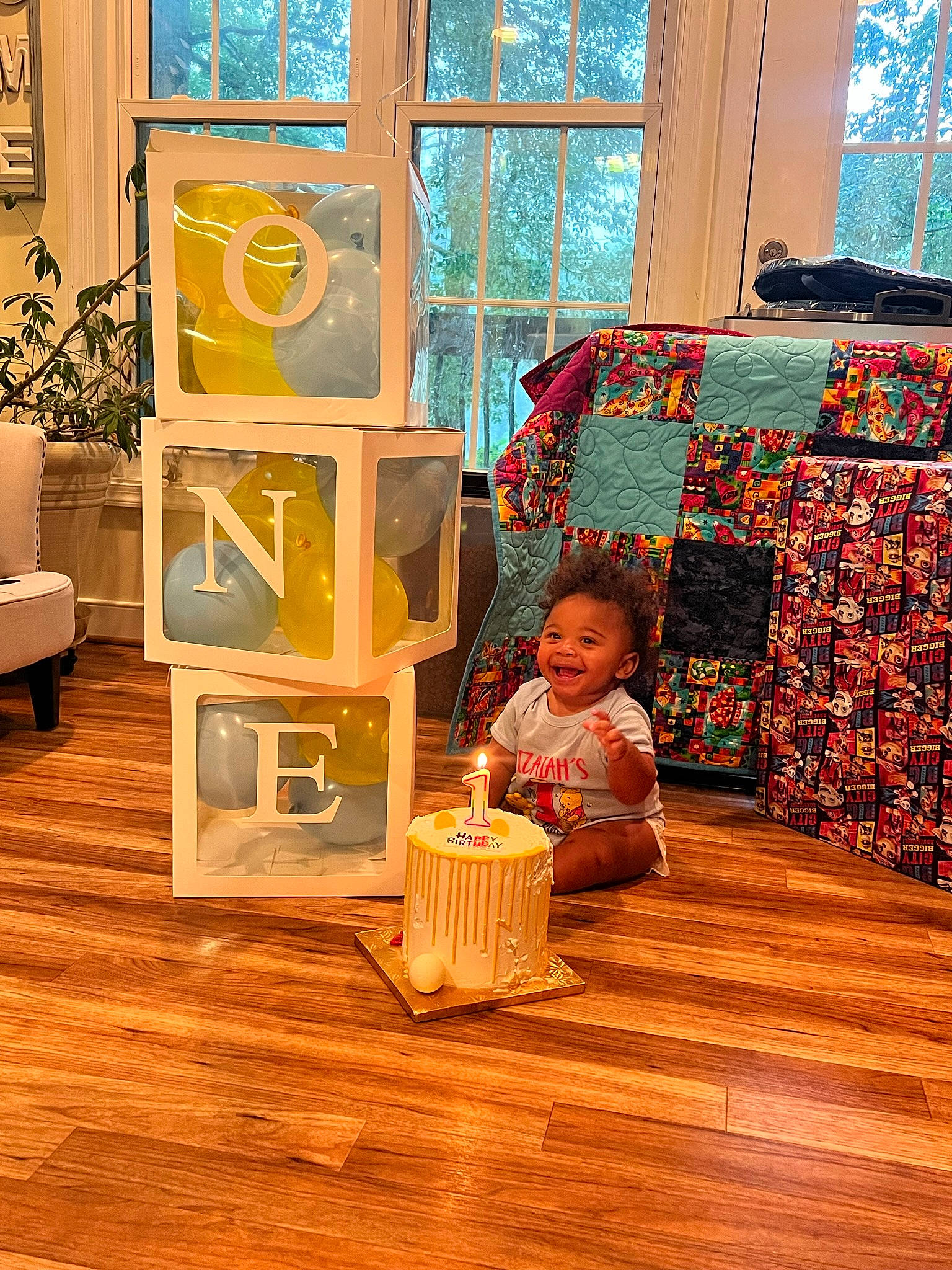 Izaiah is registered to the contest to win money with this photo: art, child, comfort, design, floor, flooring, flowerpot, hardwood, houseplant, laminate_flooring, leisure, person, plant, room, snapshot, textile, toddler, window, wood, wood_flooring