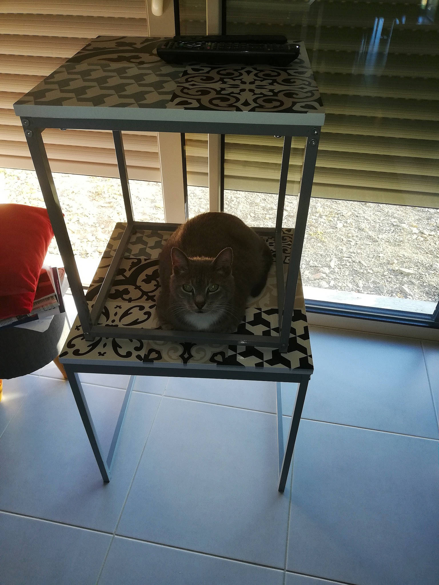 Ticha participe au concours pour gagner de l'argent avec cette photo : art, building, chair, daylighting, font, gas, glass, house, lamp, lantern, light_fixture, metal, pet_supply, roof, room, table, window, wood