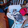 cat, companion_animals, cozy, cushion, dog, domestic, furniture, household_items, indoor, laying, paw, pet, red_jacket, relaxed, resting, side_table, sleeping_dog, tabby_cat, white_sheet, wood_floor