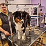 Poicka a rejoint le concours — aidez-le/la à gagner de superbes lots ! dog, person, grooming_table, fur, cage, indoor, pet_grooming, man, black_white_brown_dog, floor, clothing, air_conditioner, purple_wall, metal_frame, leash, hair_clippers, shoes, glasses, furniture, chains