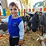 child, boy, smiling, blue_jacket, donkey, goat, petting_zoo, fence, outdoor, autumn, leaves, hay, animal, happy, playful, nature, daylight, casual_clothing, portrait, farm