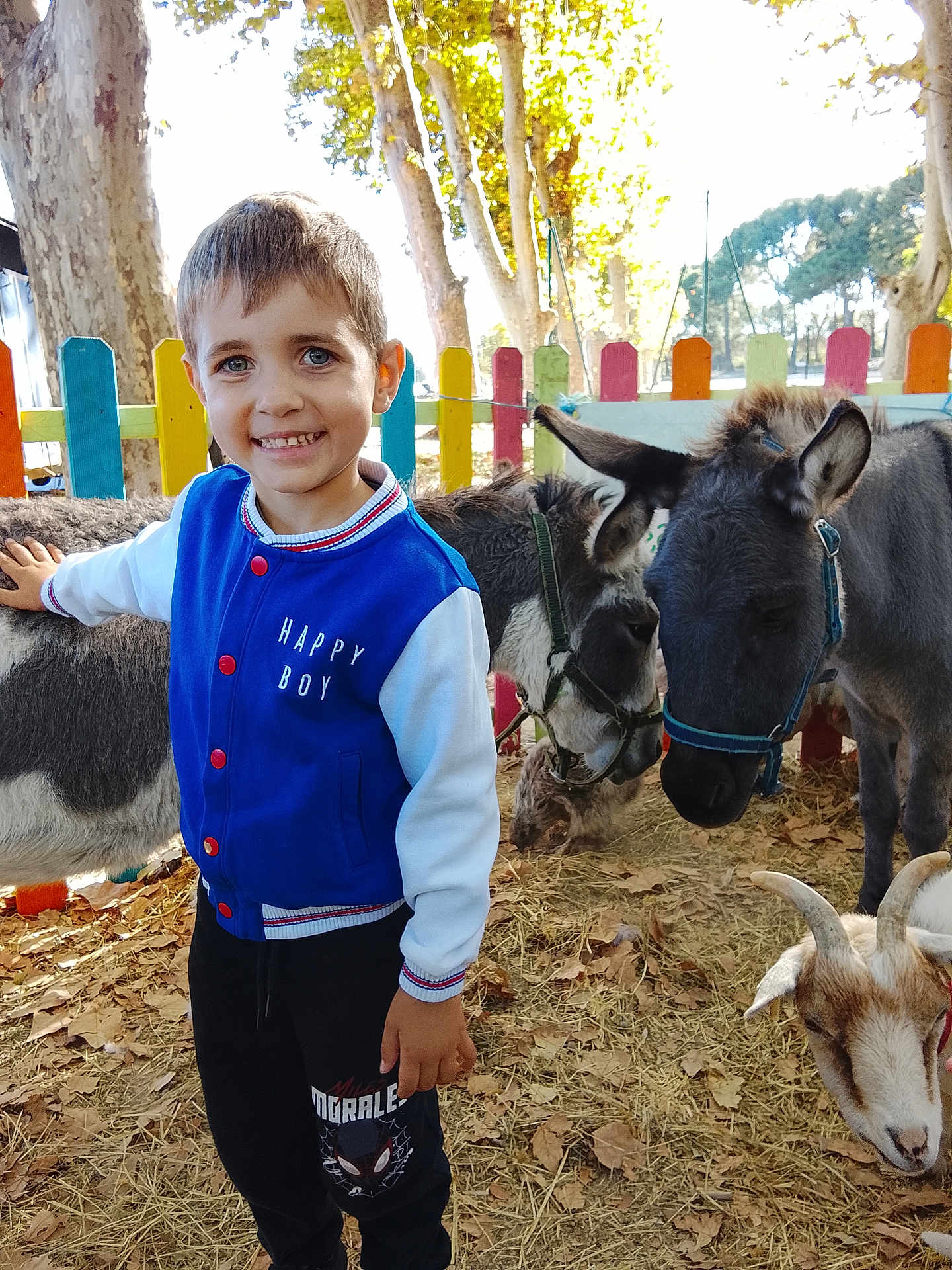 Lorenzo participe au concours pour gagner de l'argent avec cette photo : child, boy, smiling, blue_jacket, donkey, goat, petting_zoo, fence, outdoor, autumn, leaves, hay, animal, happy, playful, nature, daylight, casual_clothing, portrait, farm