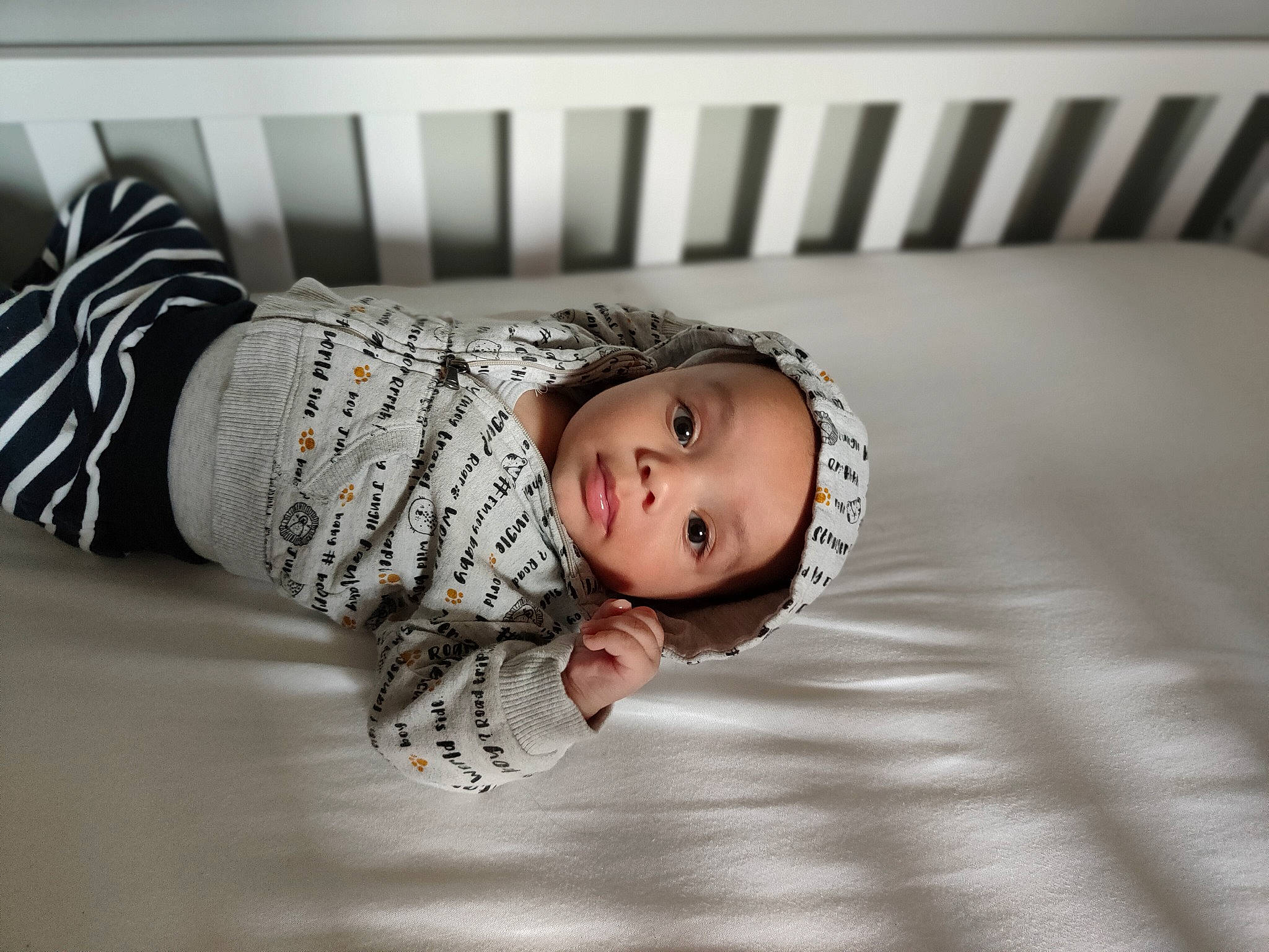 Robin a rejoint le concours — aidez-le/la à gagner de superbes lots ! baby, baby_toddler_clothing, child, comfort, flash_photography, flooring, fur, grey, happy, headwear, linens, monochrome, monochrome_photography, pattern, person, portrait_photography, sitting, sleeve, t_shirt, toddler