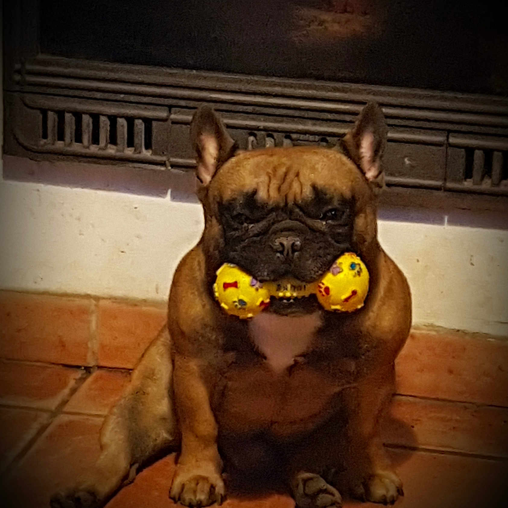 Morpheus