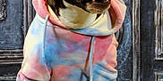 Under participe au concours pour gagner de l'argent avec cette photo : dog, hoodie, clothing, pet, portrait, sitting, fur, animal, paw, indoor, fabric, cute, tie_dye, colorful, furry, background, blue, white, black, expression