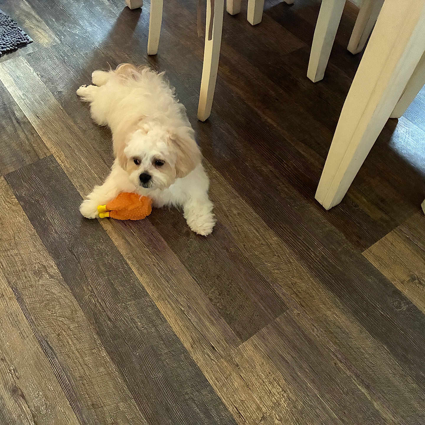 Bentley