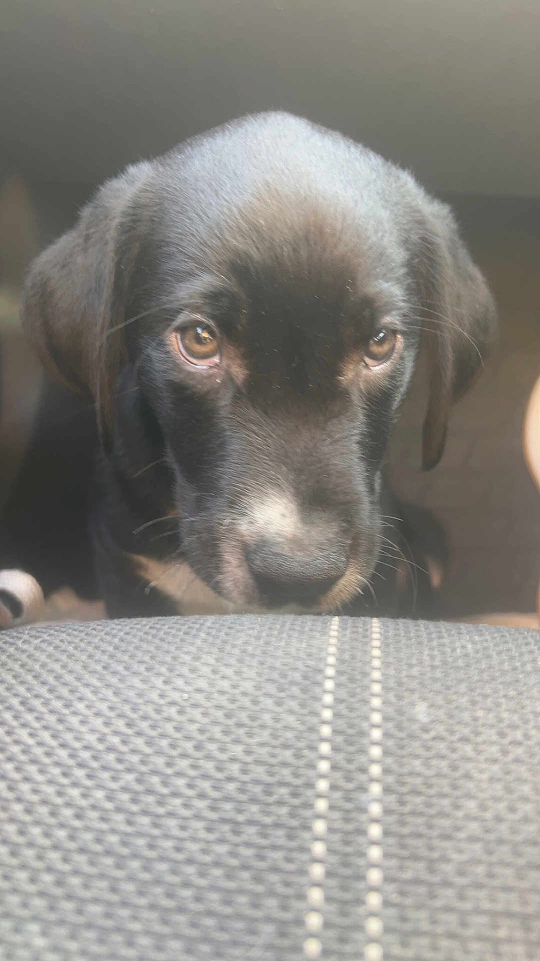 Diego