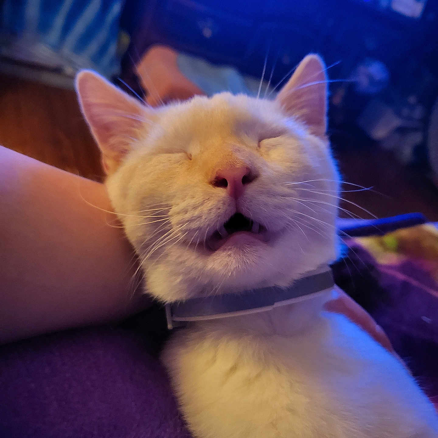 Duky Duuuu