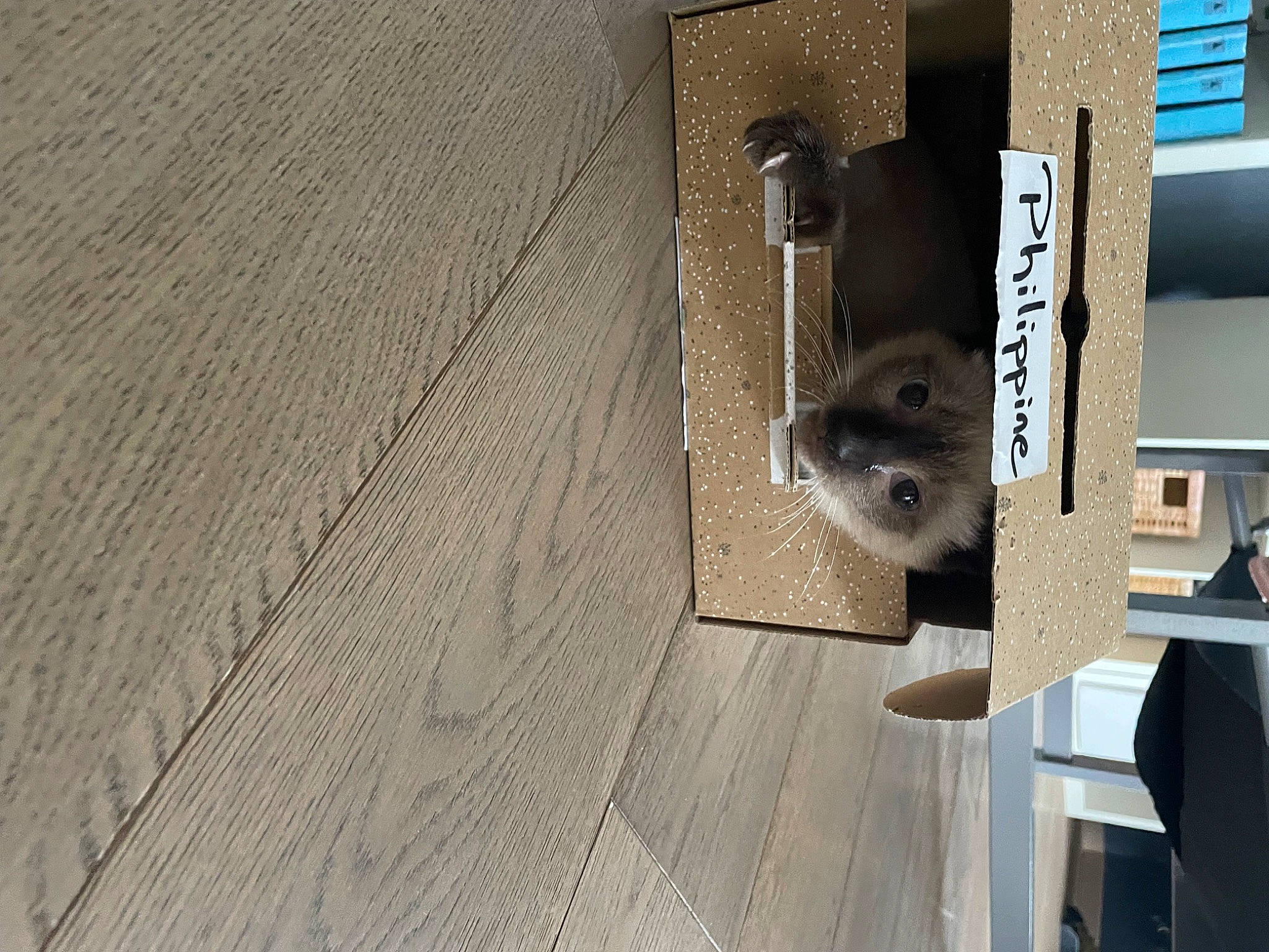 Ubby participe au concours pour gagner de l'argent avec cette photo : building, concrete, door, facade, floor, flooring, hardwood, home_door, house, latch, machine, metal, pattern, plank, plywood, room, varnish, wood, wood_flooring, wood_stain