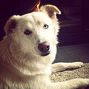 Apallo joined the competition — help win amazing prizes!