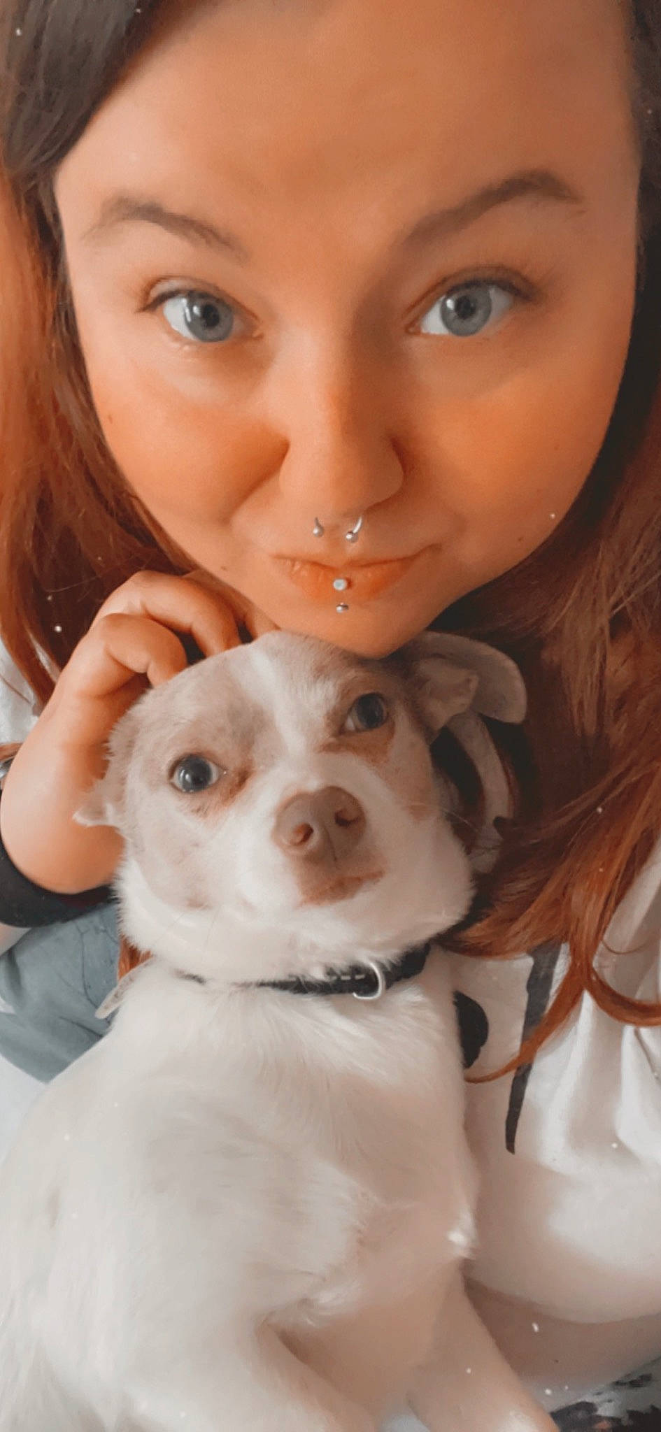 Sonic joined the competition — help win amazing prizes! canidae, carnivore, child, companion_dog, dog, dog_breed, ear, eyelash, fawn, fur, gesture, happy, lip, nose, skin, smile, snout, sporting_group, whiskers, working_animal