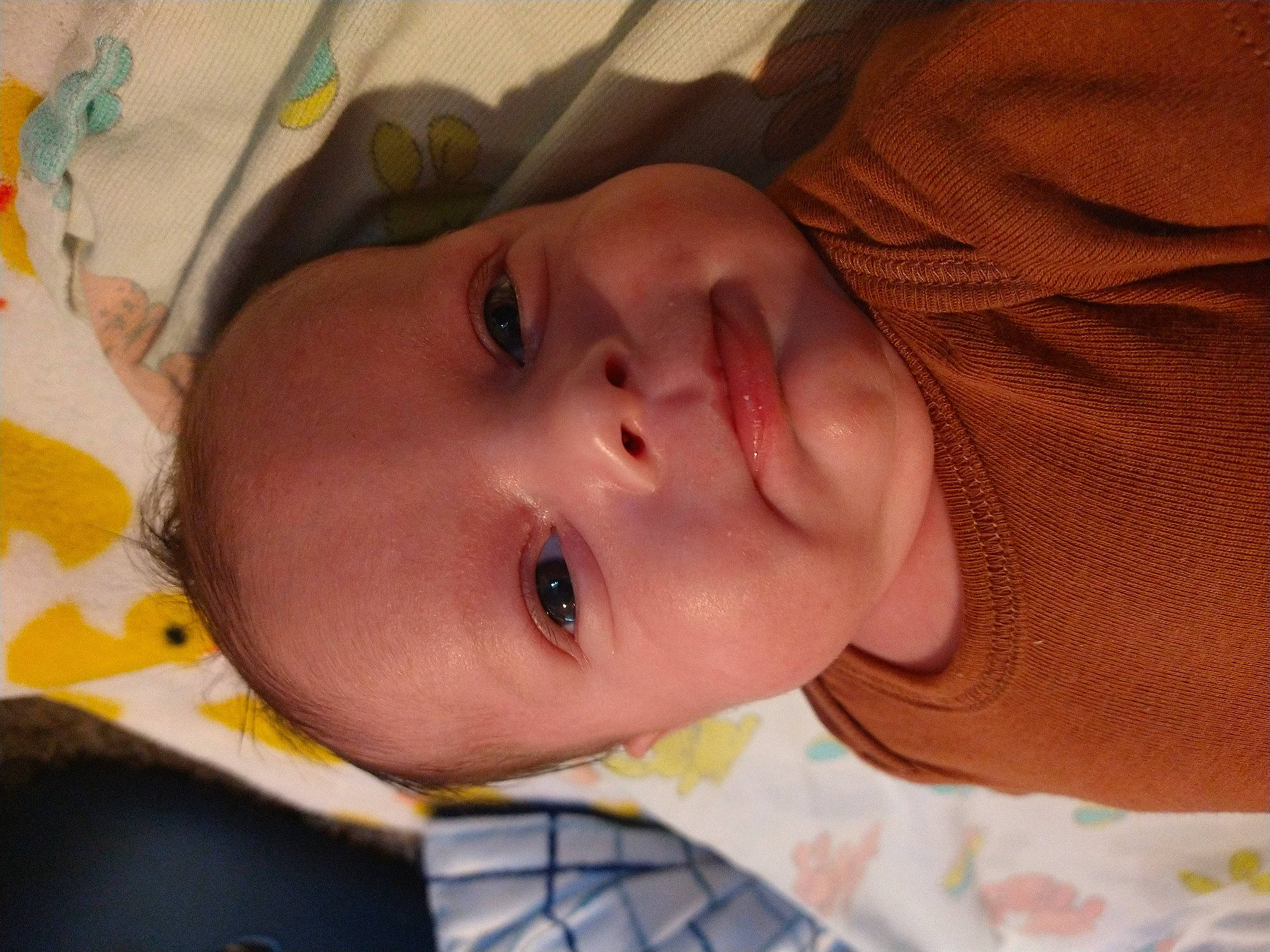 Roman joined the competition — help win amazing prizes! baby, baby_toddler_clothing, cheek, child, chin, comfort, eye, eyebrow, eyelash, face, happy, head, headgear, iris, lip, mouth, nose, person, skin, toddler