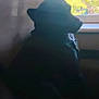 animal, calm, collar, daylight, dog, domestic_animal, furniture, house, indoor, looking_outside, moody, pet, profile, quiet, resting, shadow, side_view, silhouette, sunlight, window