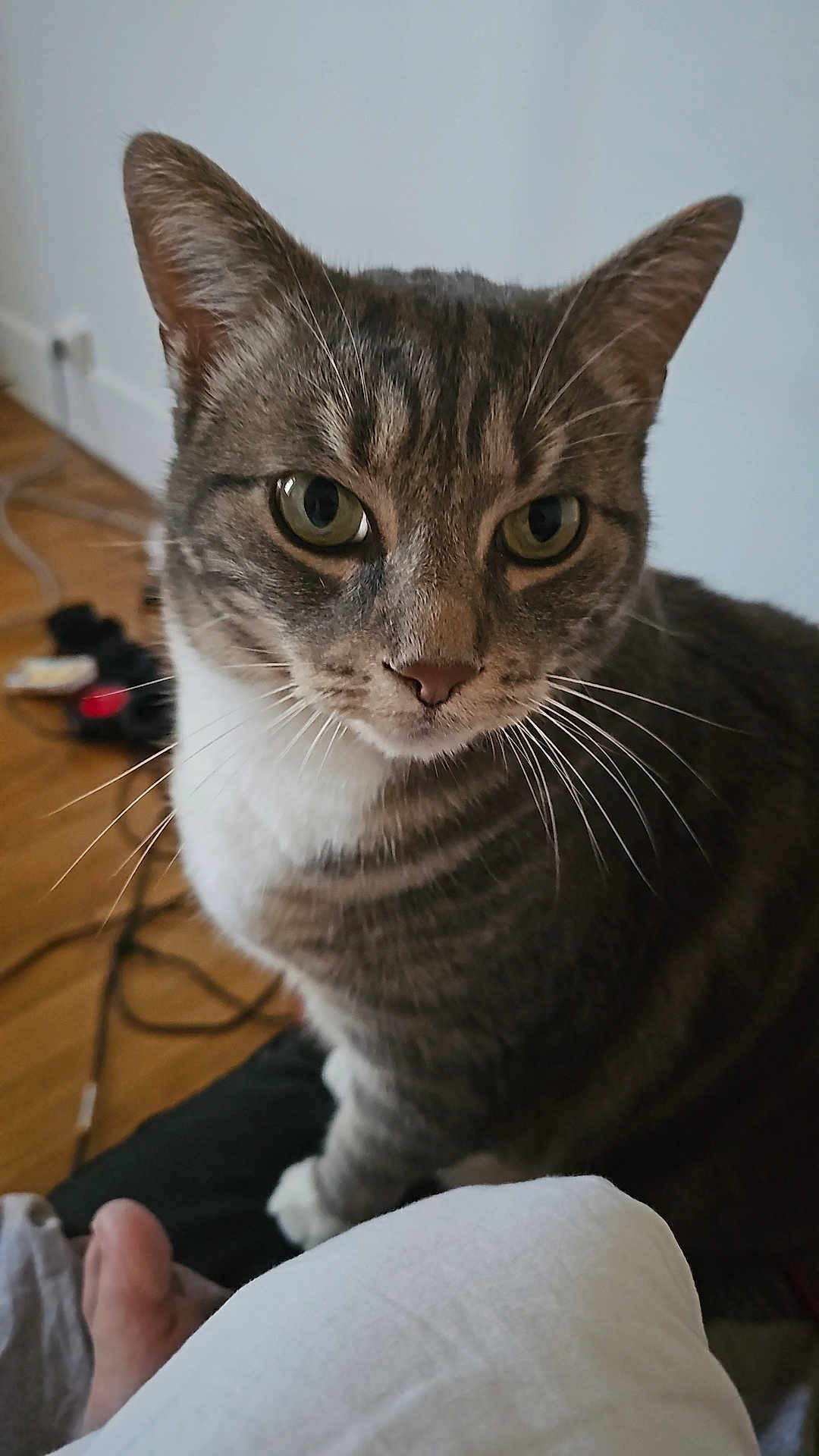 Rocky