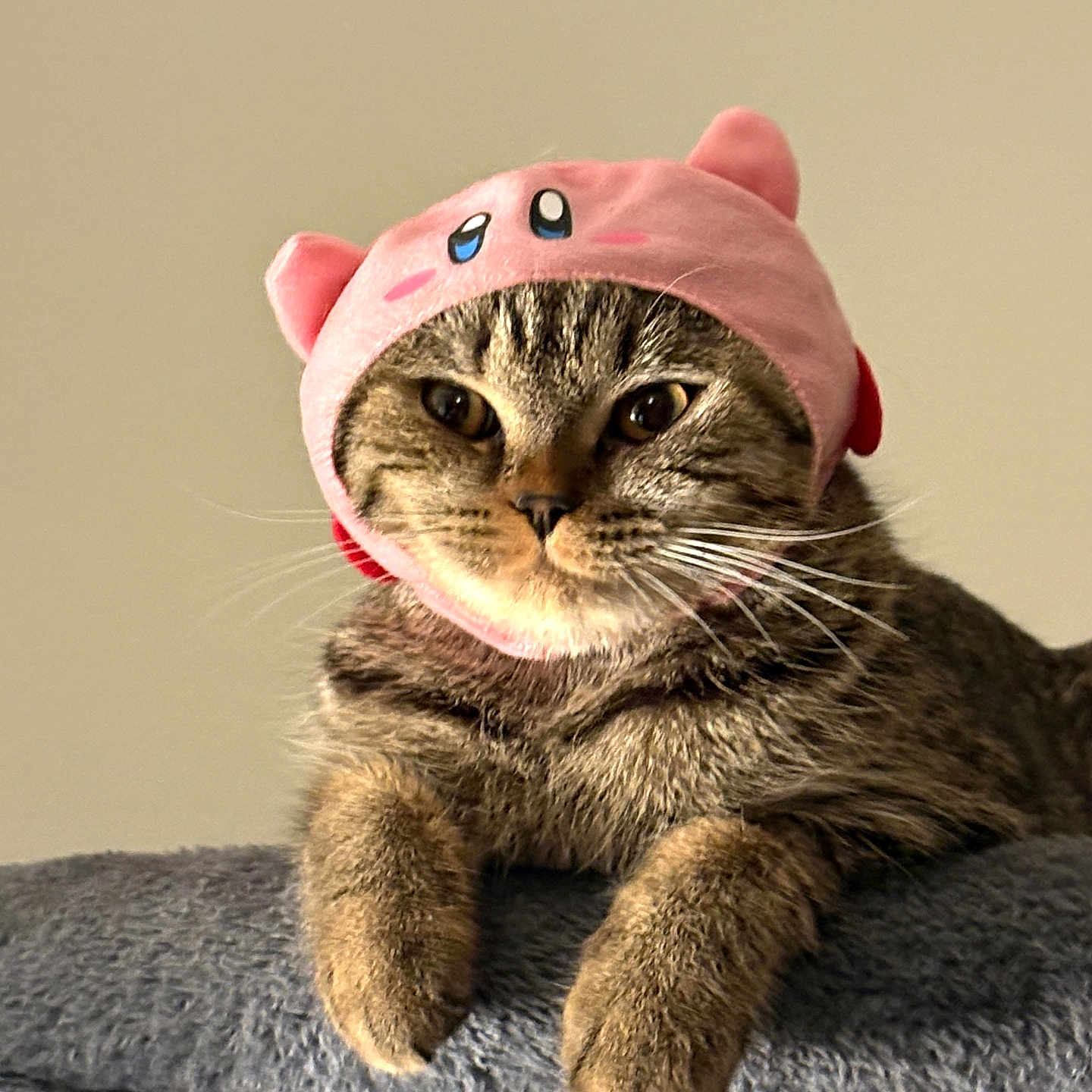 Miso