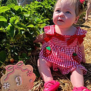 Madelyn is registered to the contest to win money with this photo: baby, child, red_clothing, gingham, strawberry, outdoor, garden, plants, greenery, sunlight, straw, sign, age_marker, pink_shoes, cute, portrait, sitting, people, summer, nature