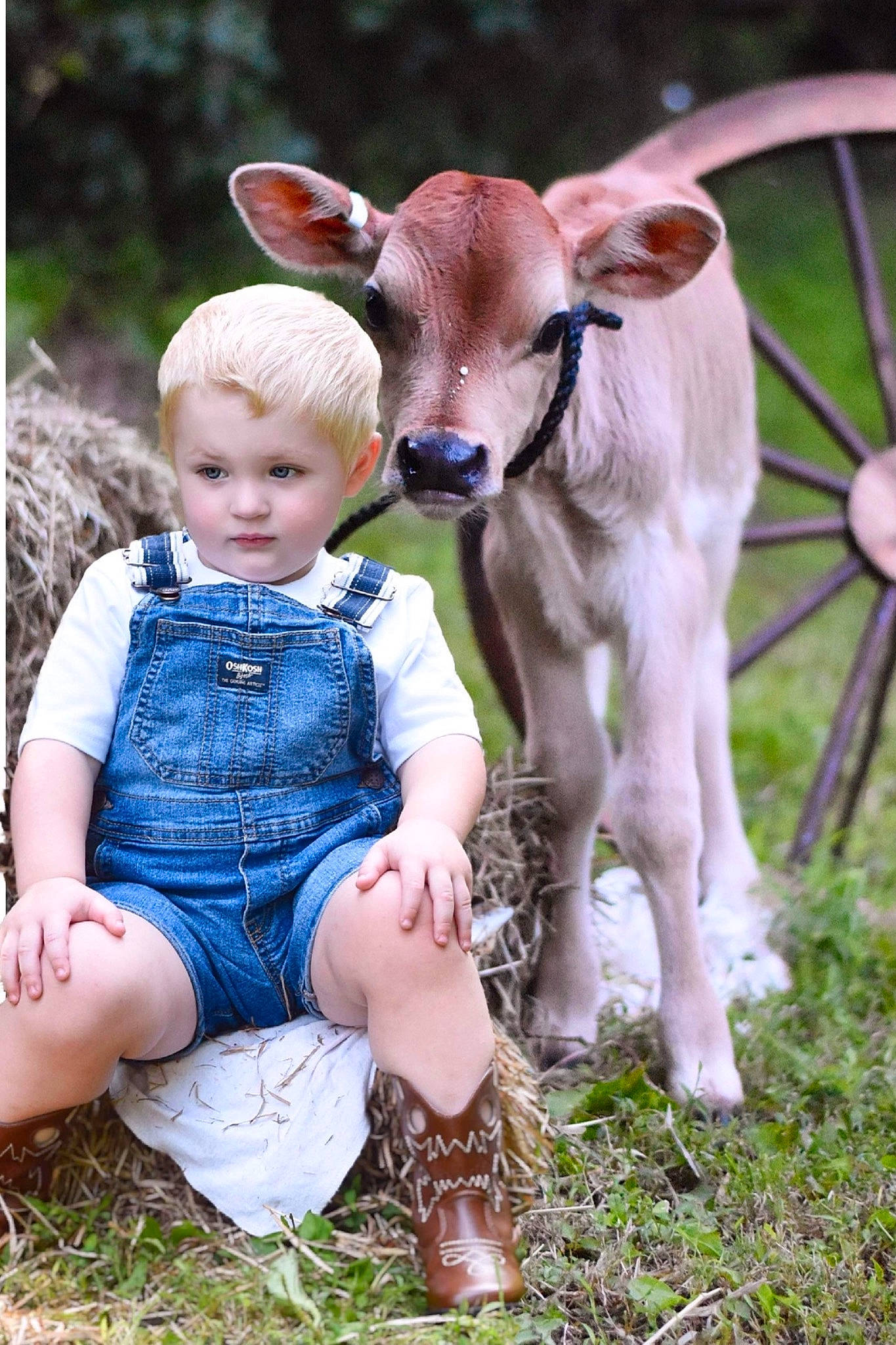 Braxton joined the competition — help win amazing prizes! baby, baby_toddler_clothing, child, companion_dog, dog_breed, dress, fawn, grass, grassland, happy, human_leg, livestock, mammal, people_in_nature, person, shoe, terrestrial_animal, toddler, vertebrate, wheel