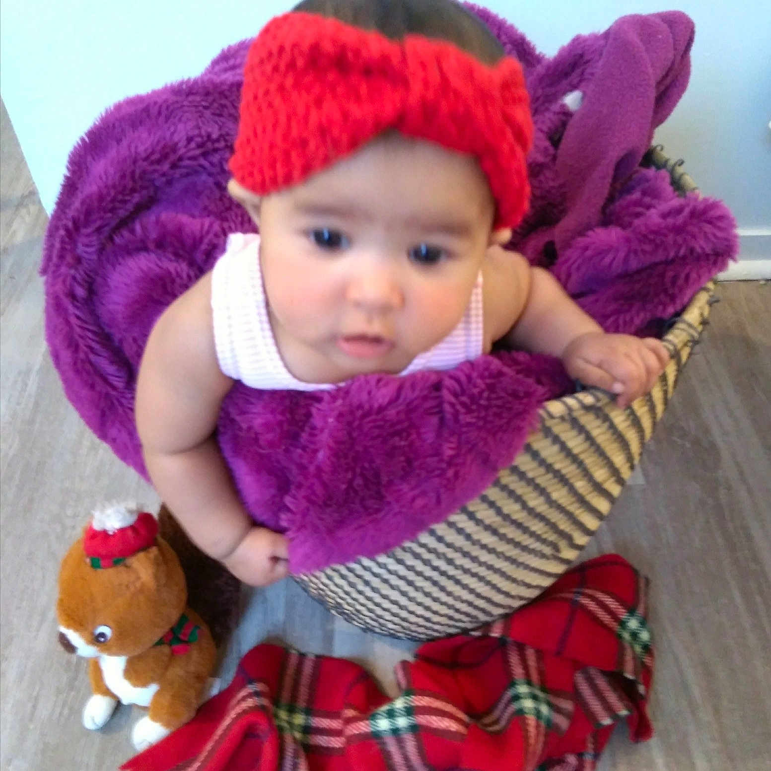 Anya a rejoint le concours — aidez-le/la à gagner de superbes lots ! bonnet, child, doll, hair_accessory, hat, headgear, infant, knit_cap, magenta, person, purple, scarf, stuffed_toy, textile, toddler, wool