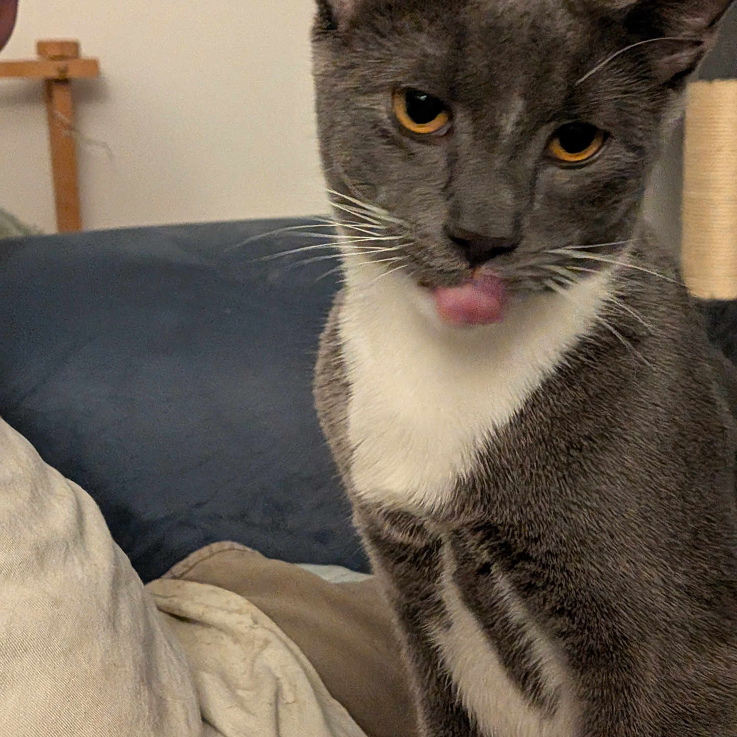 Gabriel