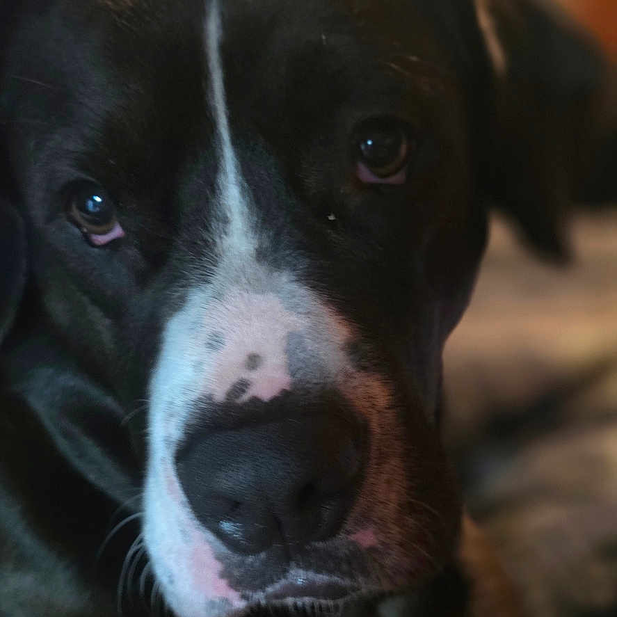 Charlie