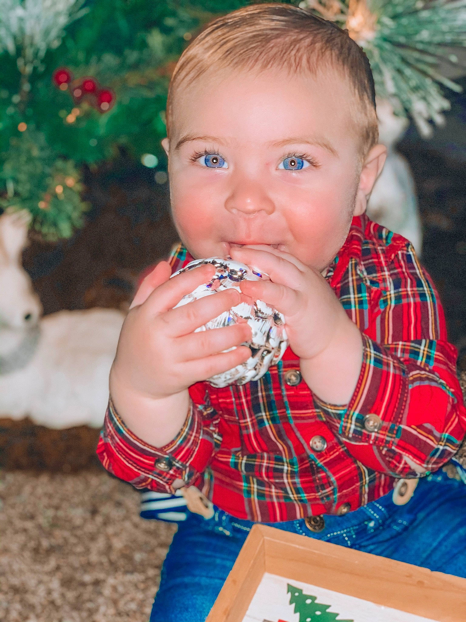 Oaklen is registered to the contest to win money with this photo: baby, child, christmas, christmas_eve, christmas_ornament, eating, event, face, food, holiday, pattern, person, plaid, toddler, tree