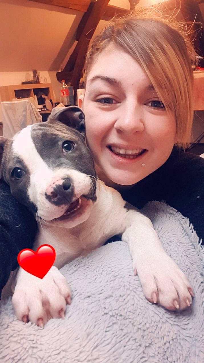 Rina a rejoint le concours — aidez-le/la à gagner de superbes lots ! blond, carnivore, companion_dog, dog, dog_breed, dog_supply, dog_toy, face, human, love, mammal, nail, organ, pet_supply, selfie, skin, snout, tooth, toy, working_animal