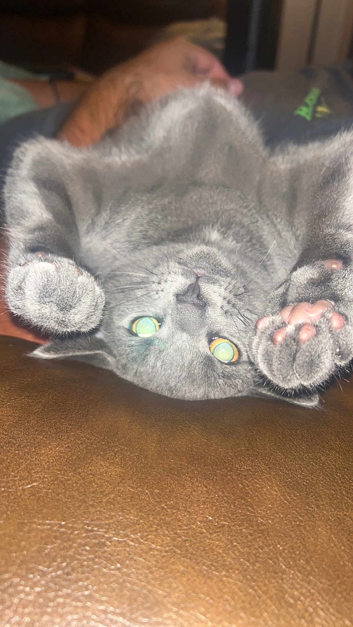 Leo