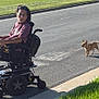 Chicken is registered to the contest to win money with this photo: person, wheelchair, dog, outdoor, street, pavement, grass, sunlight, small_dog, sidewalk, happy, walking, casual, daytime, headband, shorts, tshirt, wheel, mobility_device, pet