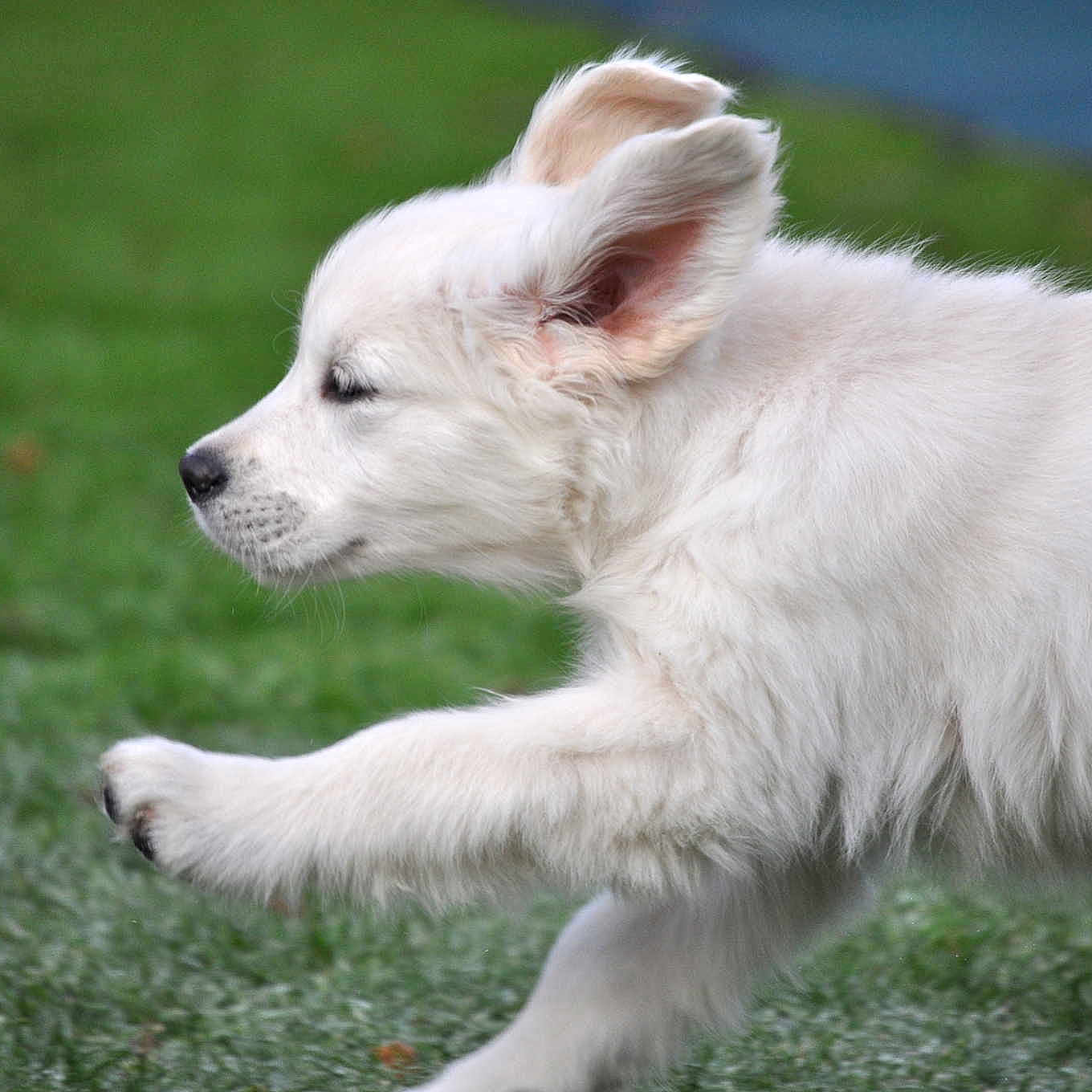 Smiley is registered to the contest to win money with this photo:
