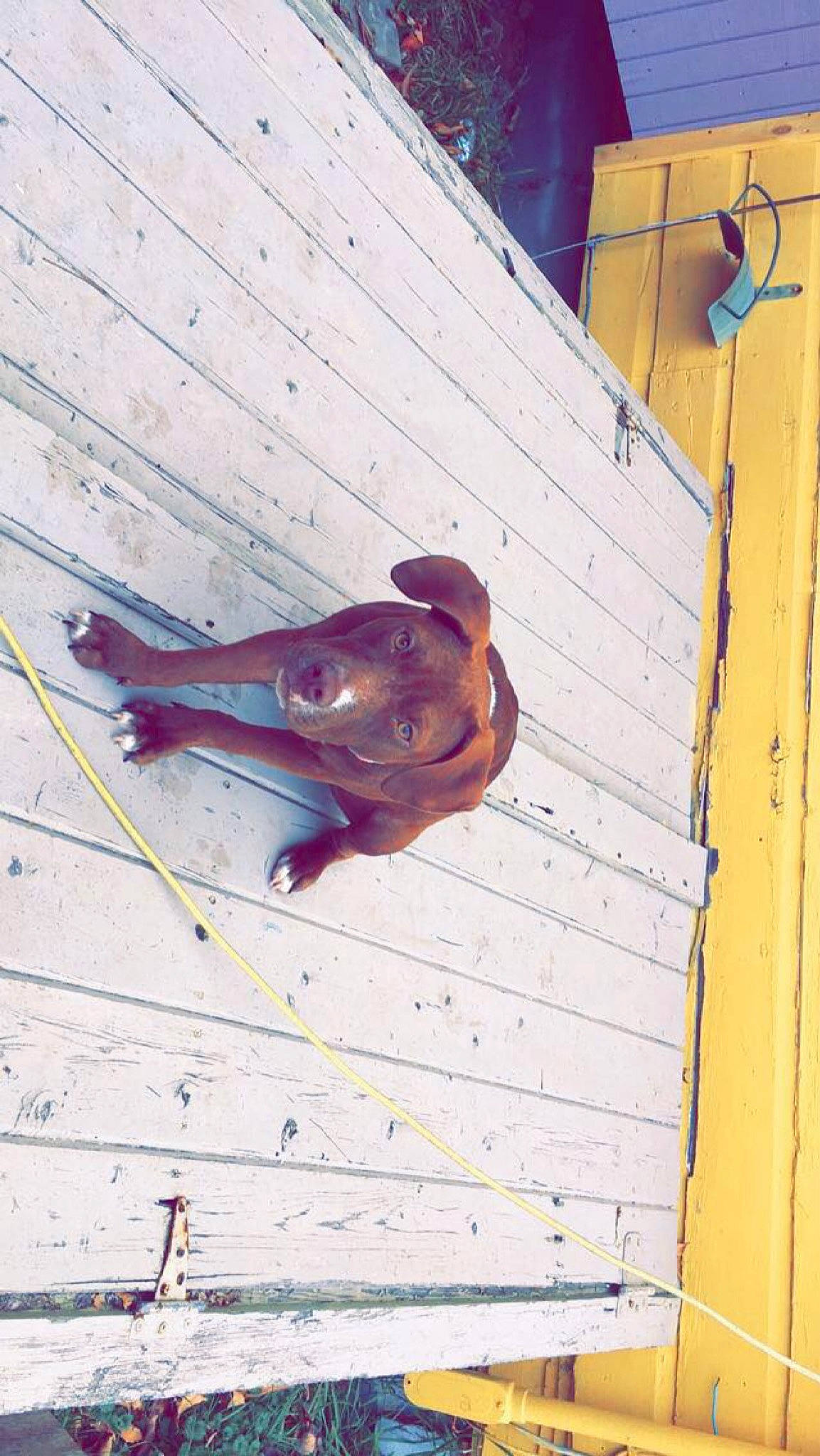 Lillah joined the competition — help win amazing prizes! adventure, advertising, art, blue, brick, brickwork, climbing, facade, leg, leisure, line, metal, mural, painting, recreation, roof, sport_climbing, street_art, visual_arts, wood