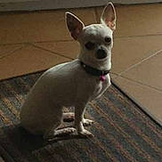 Zahia participe au concours pour gagner de l'argent avec cette photo :