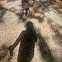 Rebel is registered to the contest to win money with this photo: dog, shadow, path, leaves, outdoor, sunlight, tongue_out, running, nature, tree_shadow, animal, happy, daylight, walking, pet, brown, grass, park, recreation, summer