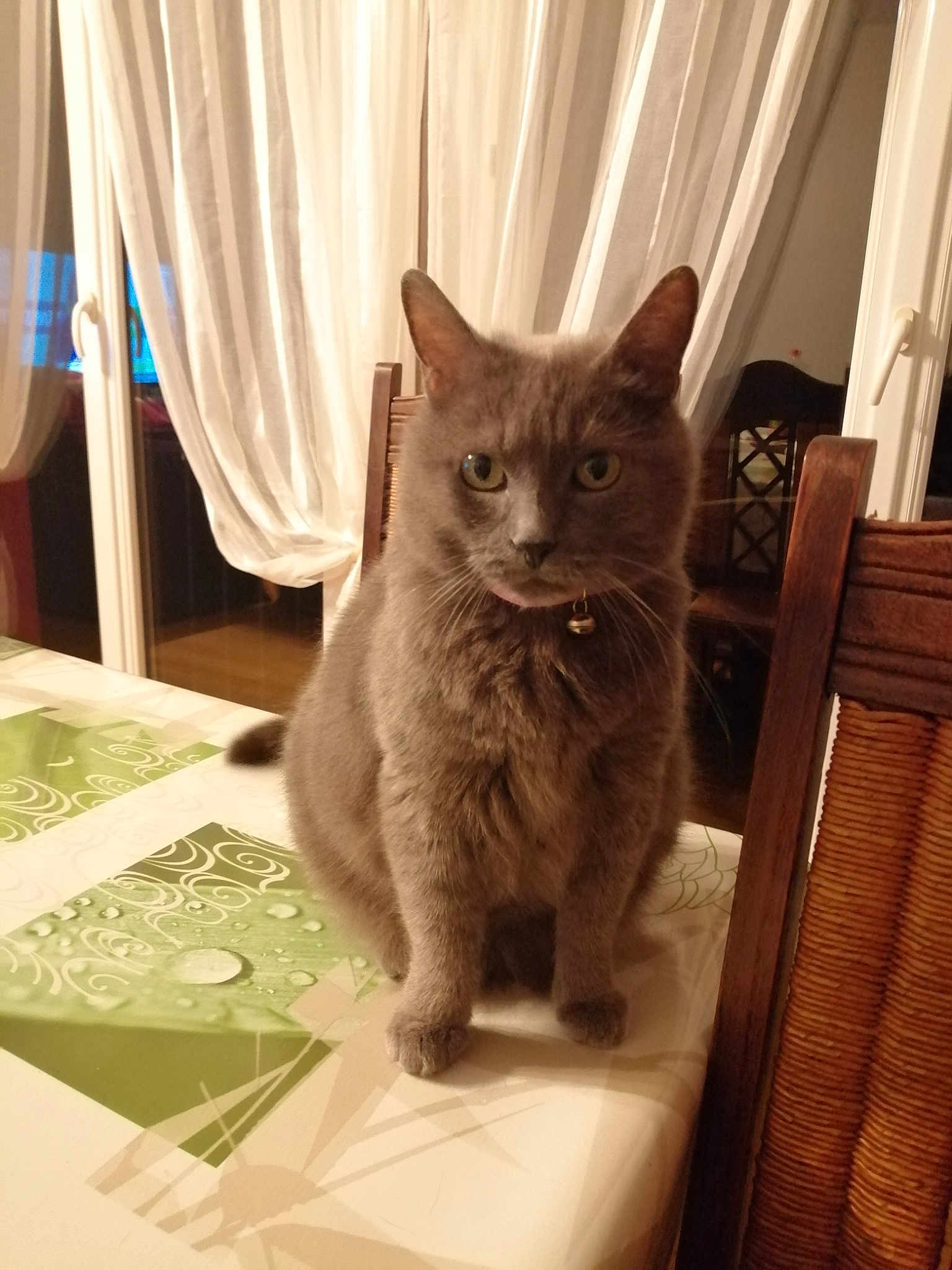 Heidi