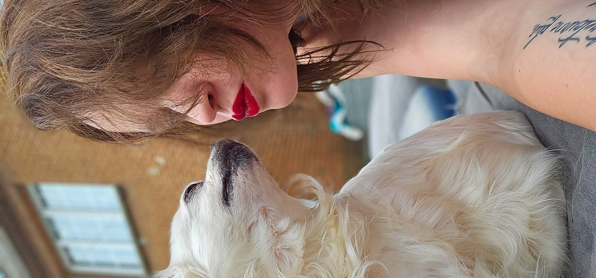 Luna a rejoint le concours — aidez-le/la à gagner de superbes lots ! brown_hair, carnivore, companion_dog, dog, dog_breed, ear, eyelash, fawn, fur, gesture, happy, jaw, mammal, nose, skin, smile, snout, whiskers, working_animal, wrinkle