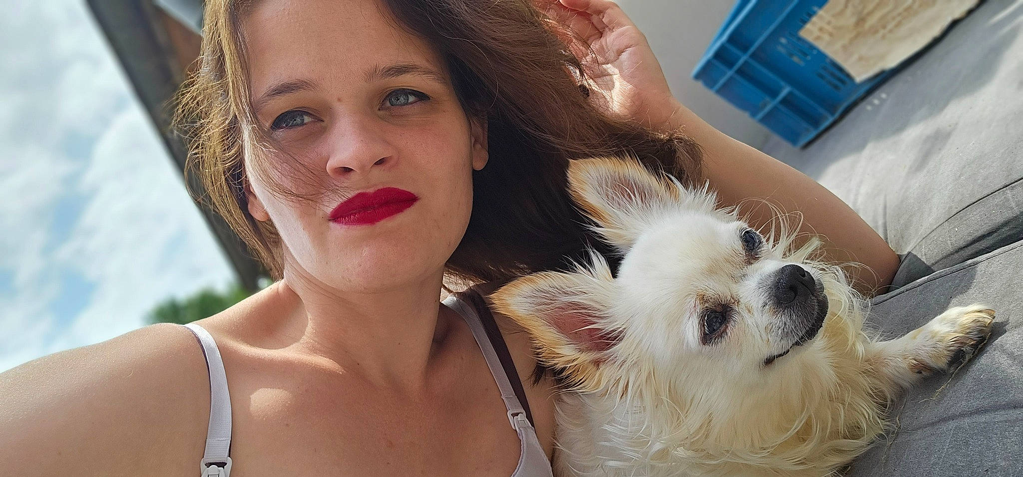 Luna a rejoint le concours — aidez-le/la à gagner de superbes lots ! carnivore, companion_dog, dog, dog_breed, ear, eye, eyelash, fawn, flash_photography, gesture, hair, happy, head, lip, lipstick, nose, organ, skin, toy, working_animal