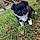 Bouba