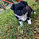 Bouba