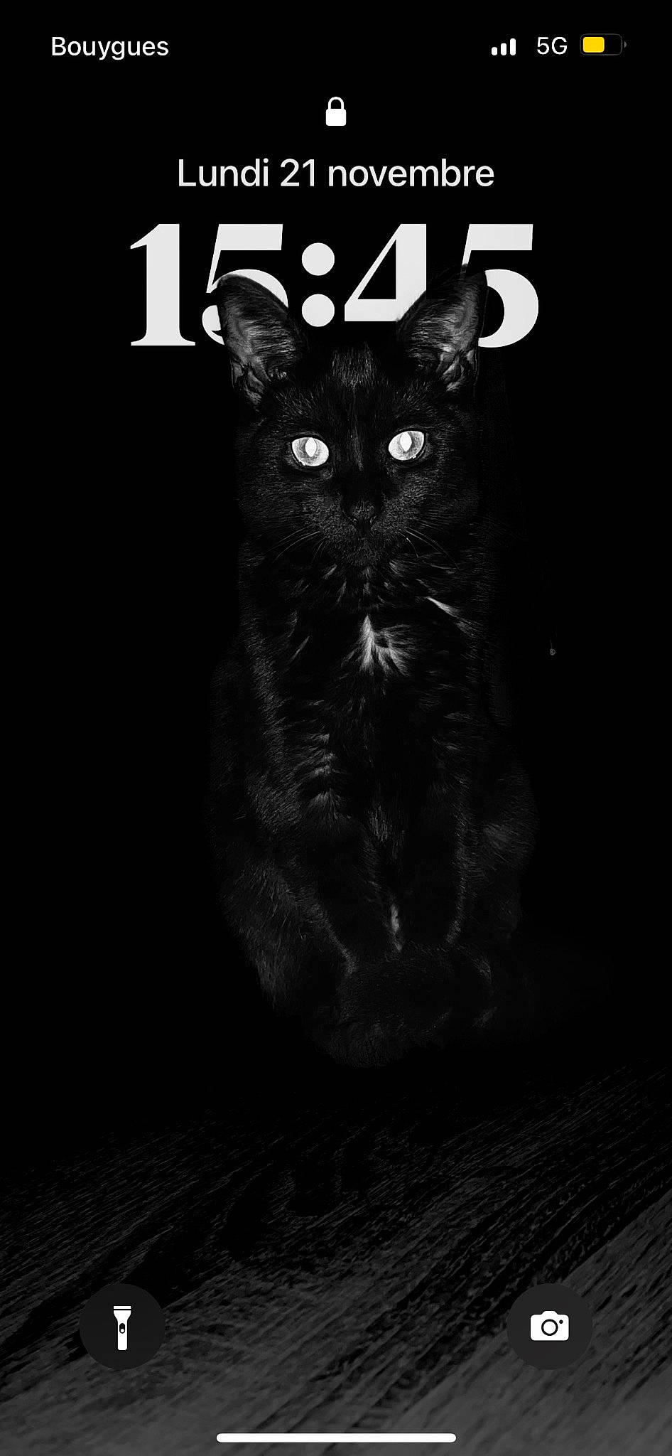 Bdball a rejoint le concours — aidez-le/la à gagner de superbes lots ! black_cat, carnivore, cat, darkness, domestic_short_haired_cat, felidae, flash_photography, font, fur, grey, iris, monochrome, monochrome_photography, photo_caption, small_to_medium_sized_cats, snout, tail, terrestrial_animal, whiskers, wildlife