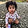 Aulani Rose