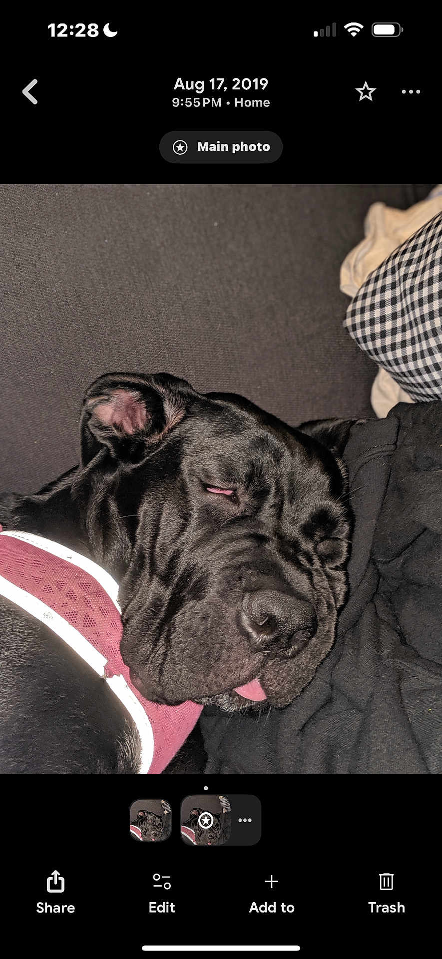 Maggie