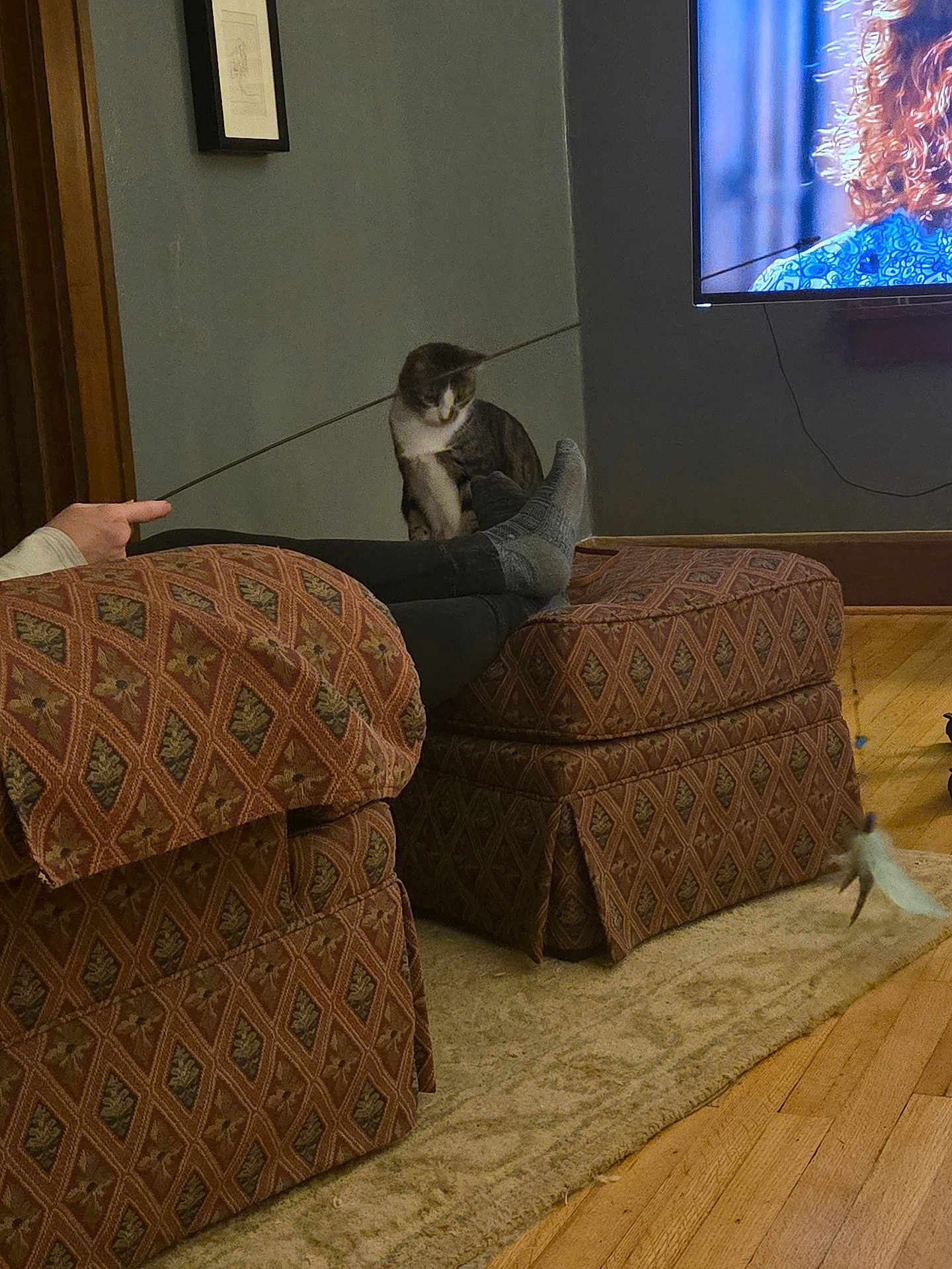 Kit is registered to the contest to win money with this photo: carpet, cat, cozy, curled_cat, feather, furniture, home, indoor, legs, ottoman, patterned_fabric, person, playing, relaxation, socks, stick, television, toy, wall_art, wood_floor