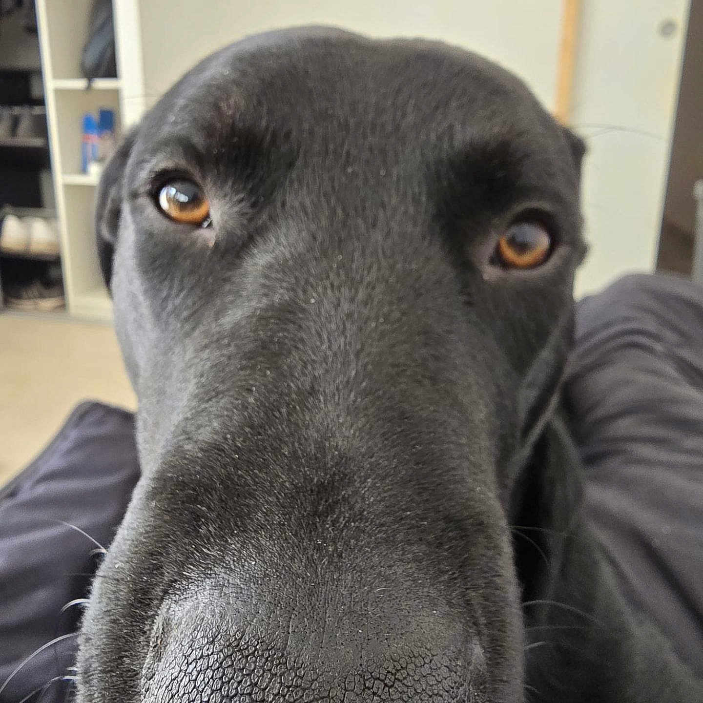 Sergio
