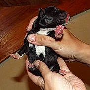 Tinker-belle participe au concours pour gagner de l'argent avec cette photo :