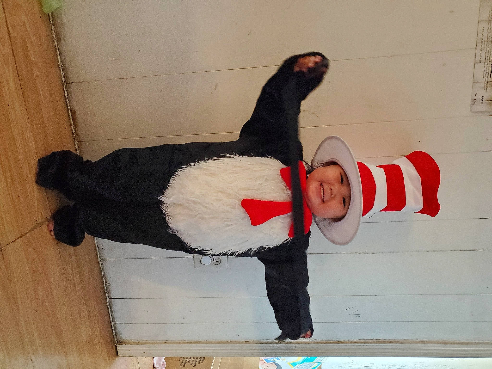 Rachael joined the competition — help win amazing prizes! art, carmine, costume, flooring, fun, fur, happy, hardwood, headwear, human_leg, joy, knee, lap, pattern, person, rectangle, sitting, sleeve, sportswear, t_shirt