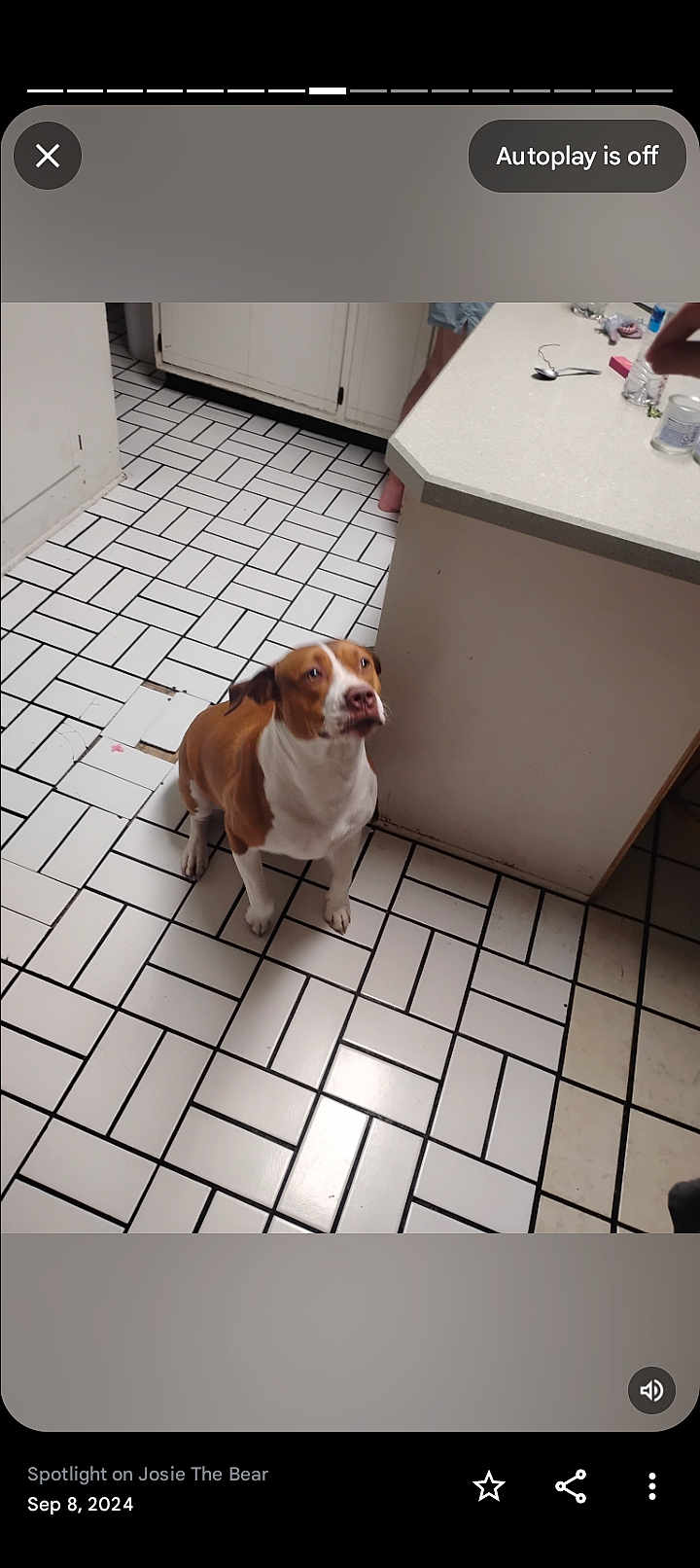 Josie