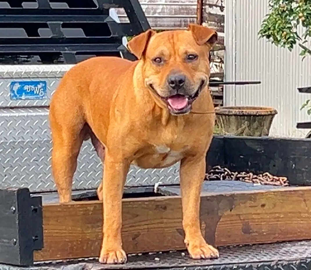 Reggie