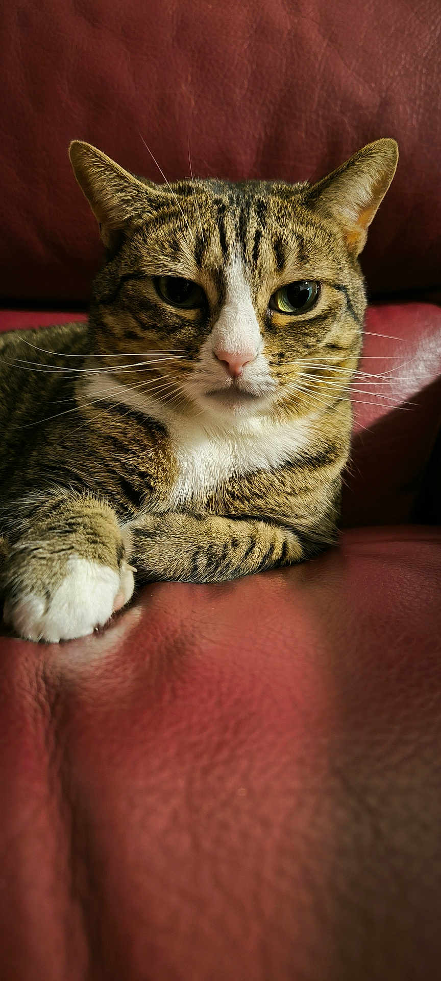 Lulu
